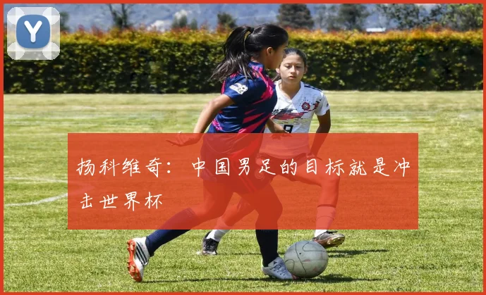 扬科维奇：中国男足的目标就是冲击世界杯