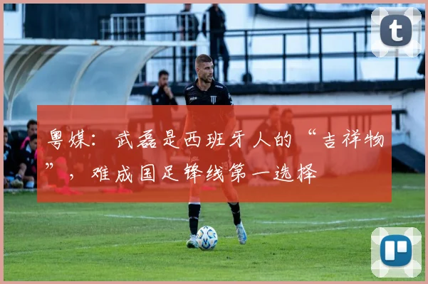 粤媒：武磊是西班牙人的“吉祥物”，难成国足锋线第一选择
