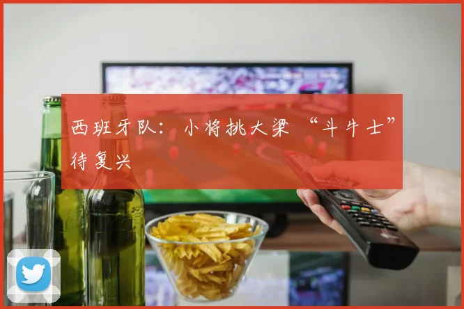 西班牙队：小将挑大梁 “斗牛士”待复兴